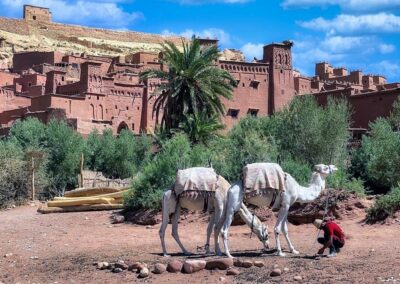 Ait Benhadou ouarzazate excursion maroc Voyage Desert Maroc