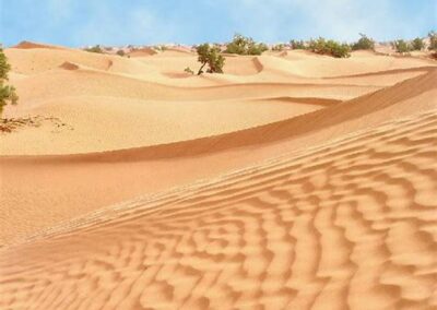 DESERT LAOUDI 1 Voyage Desert Maroc