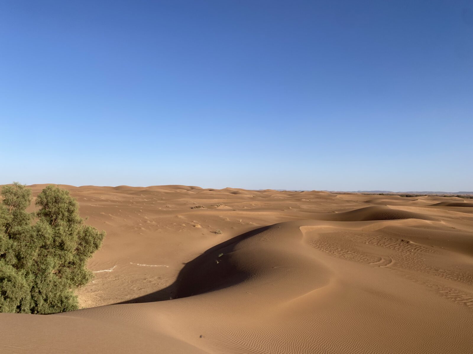 PAYSAGE DESERT ERG CHEGAGA Voyage Desert Maroc