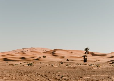 Voyage désert Maroc Depuis Marrakech
