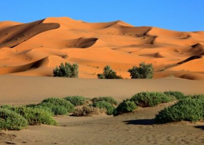merzpouga dune Voyage Desert Maroc