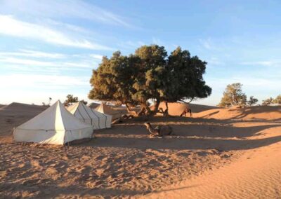 Bivouac desert sauvage Maroc Voyage 4 Voyage Desert Maroc