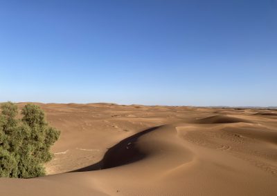 PAYSAGE DESERT ERG CHEGAGA 1 Voyage Desert Maroc