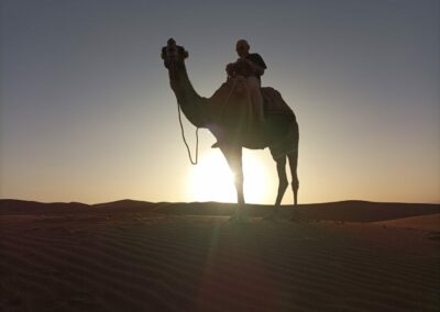 Circuit Desert Marrakech Essaouira 6 Jours