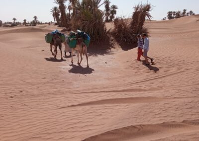 randonnee trek balade desert excursion merzouga chegaga Voyage Desert Maroc