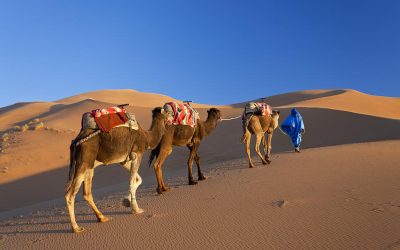Sahara Desert tour depuis Agadir 5 Jours
