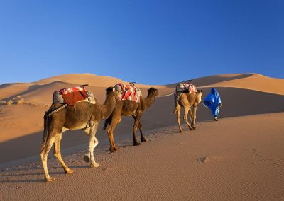Sahara Desert tour depuis Agadir