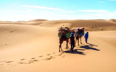 Trek Desert Mhamid 4 Jours