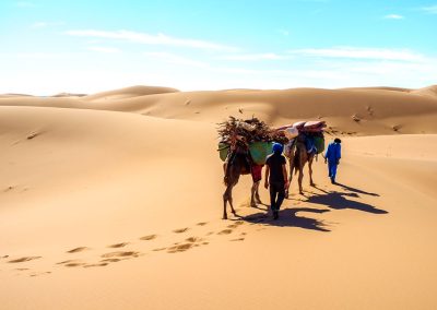 Trek Desert Maroc