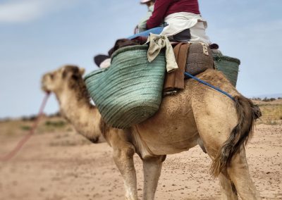 Trek Desert Mhamid 4 Jours