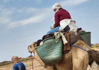 Trek Desert Mhamid 4 Jours