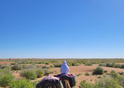 Trek Desert Mhamid 4 Jours