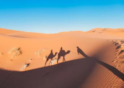 Ouarzazate desert Marrakech