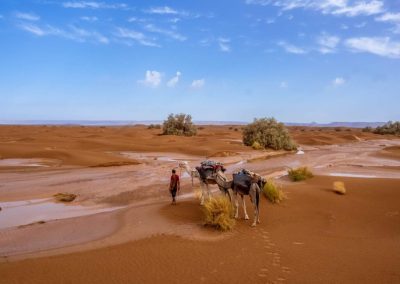Trek Sahara Maroc