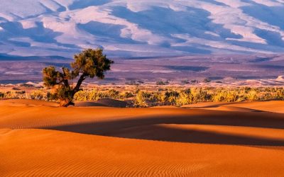 EXCURSION 2 JOURS 1 NUIT ZAGORA – ERG CHEGAGA